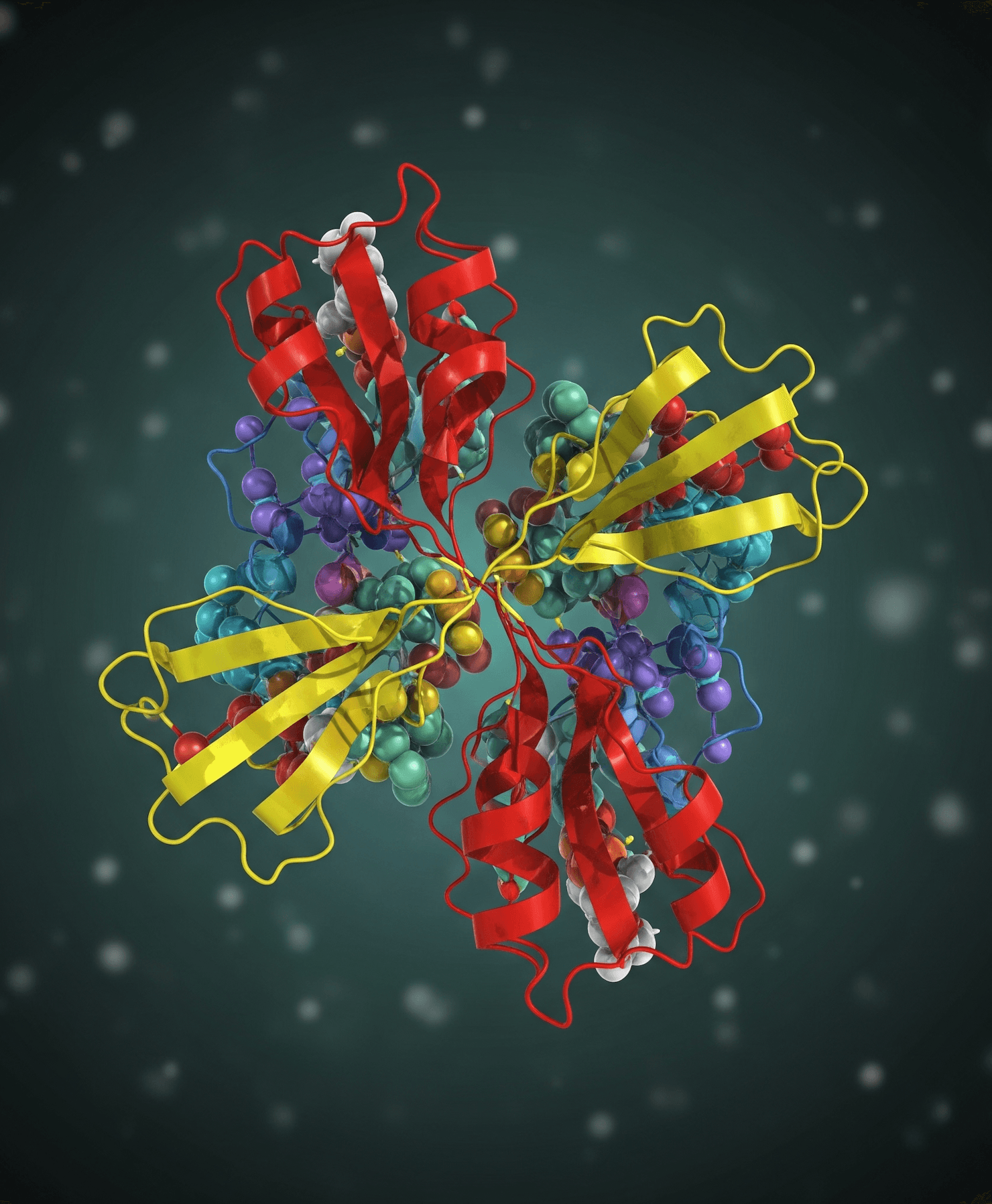 Protein Function Predictor